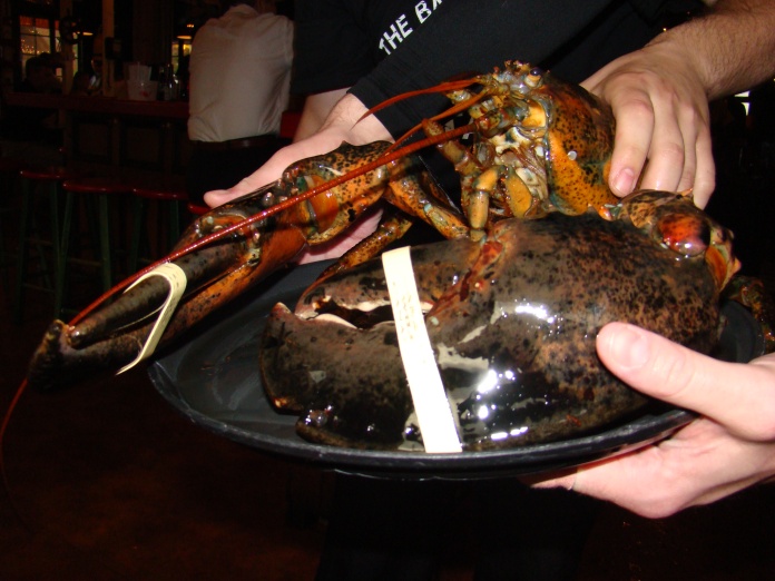 10-pound lobster at Barking Crab.